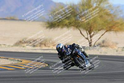 media/Feb-04-2023-SoCal Trackdays (Sat) [[8a776bf2c3]]/Turn 4 (Tree of Life 2pm)/